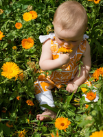 Baby Dungaree